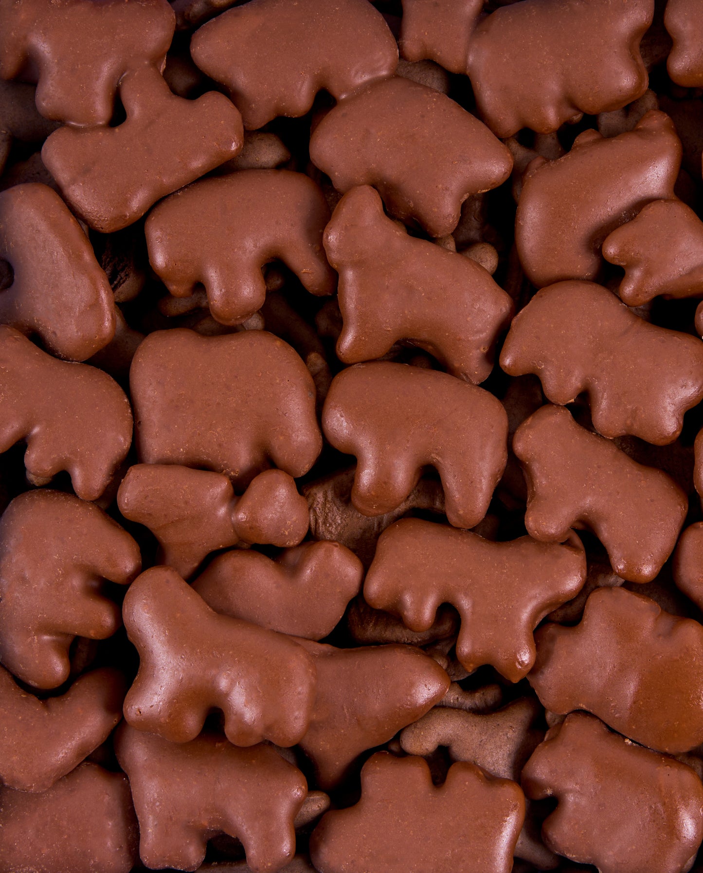Chocolate-Covered Animal Cracker Gift Box