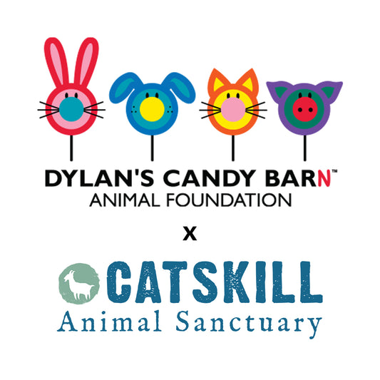 Behind The Scenes with Catskill Animal Sanctuary