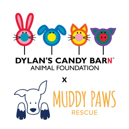 Behind The Scenes with Muddy Paws Rescue