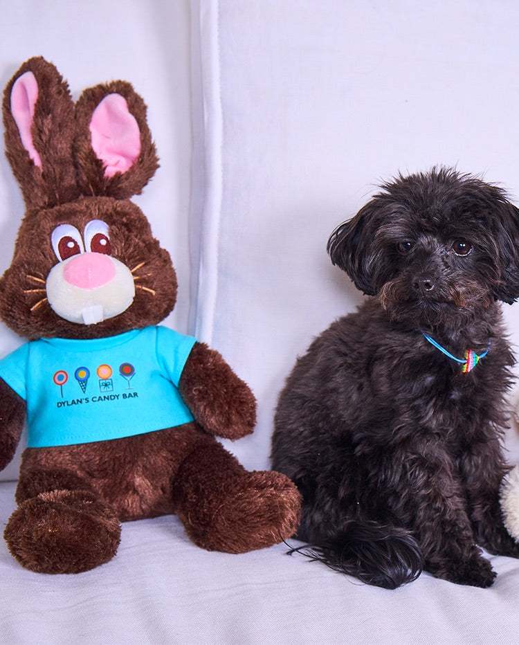 Dylan's Candy Bar Chocolate The Bunny - Dylan's Candy Bar