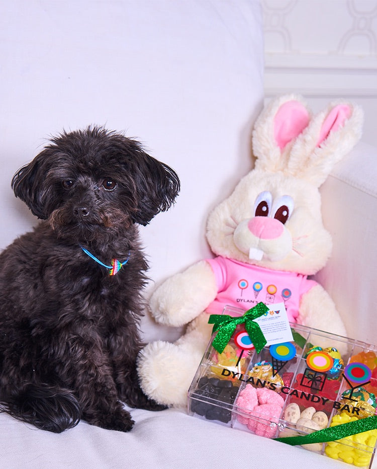 Dylan's Candy Bar Vanilla The Bunny - Dylan's Candy Bar