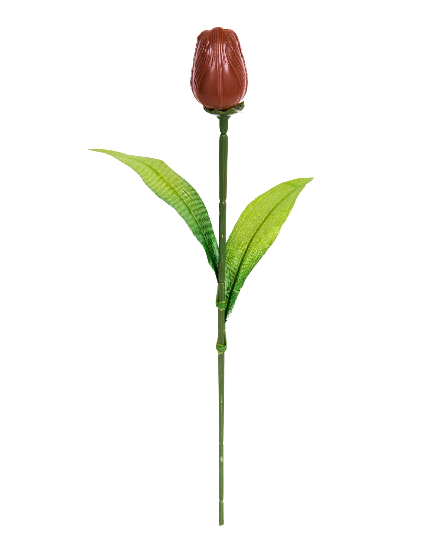 Milk Chocolate Tulip