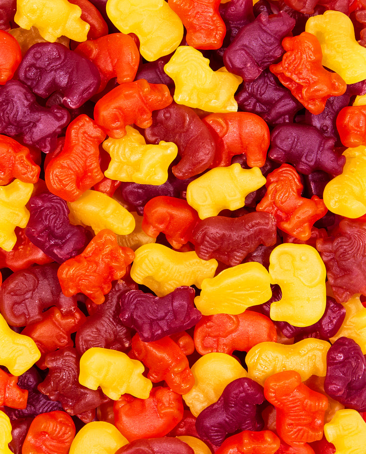 Zoomed-in Fruity Gummy Zoo Animals