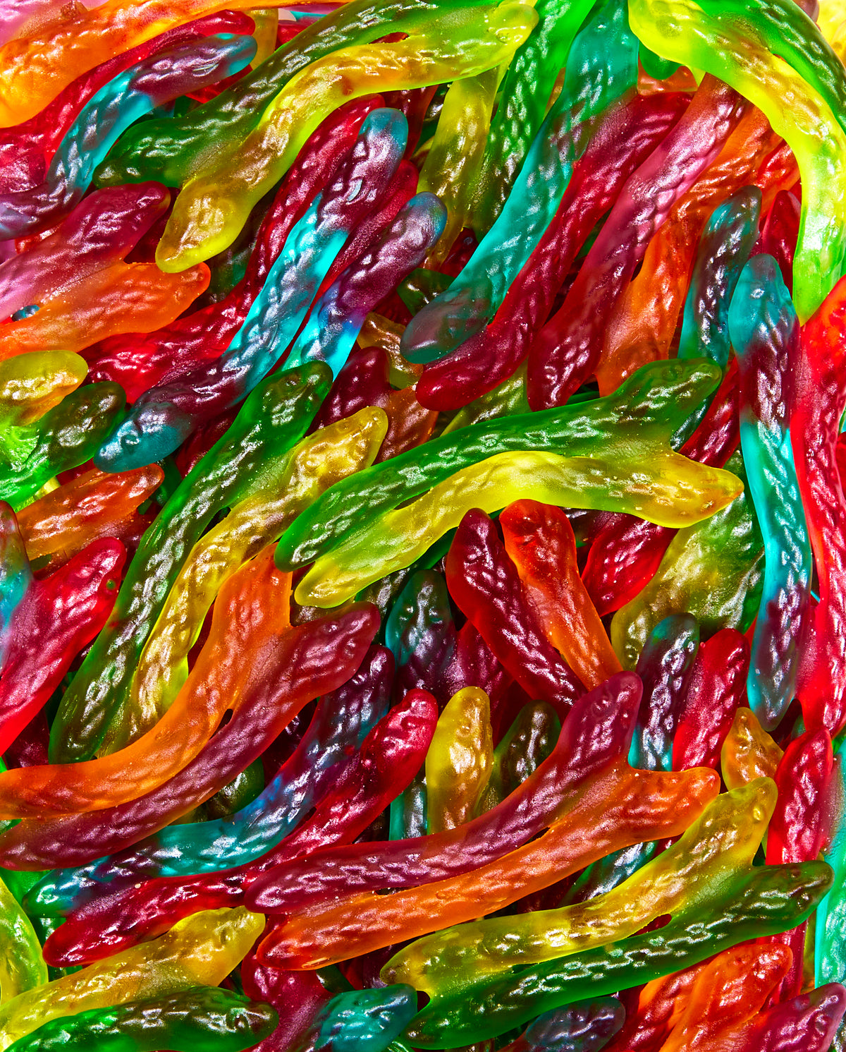 Haribo® Gummy Twin Snakes Bulk Bag - Dylan's Candy Bar