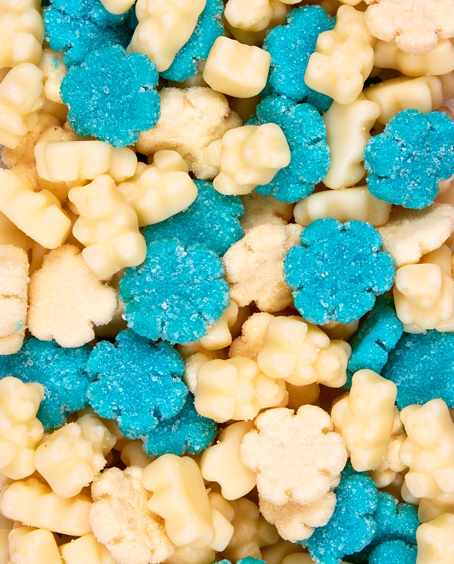 Beary & Bright Sweets