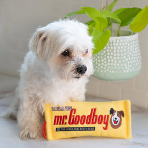 chocolate-bar-inspired-plush-dog-toy-with-squeaker